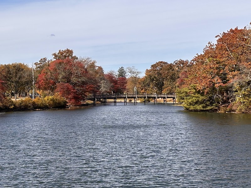 Divine Park