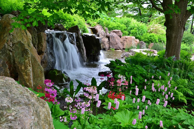 Chicago Botanic Garden photo 4