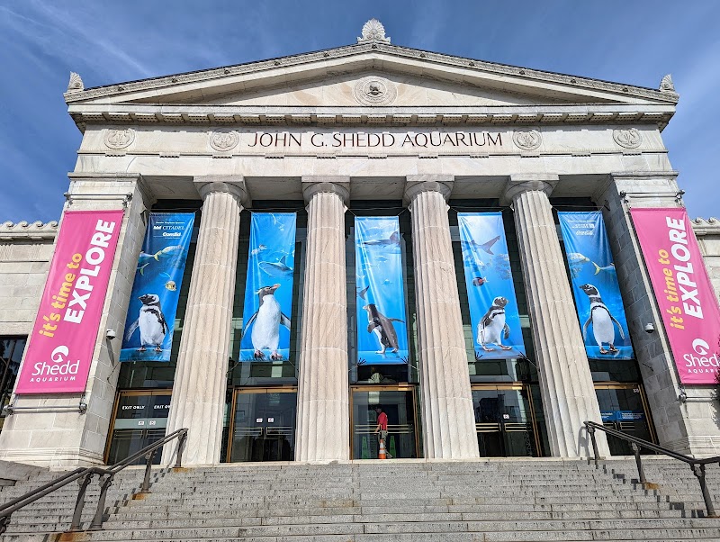 Shedd Aquarium photo 2
