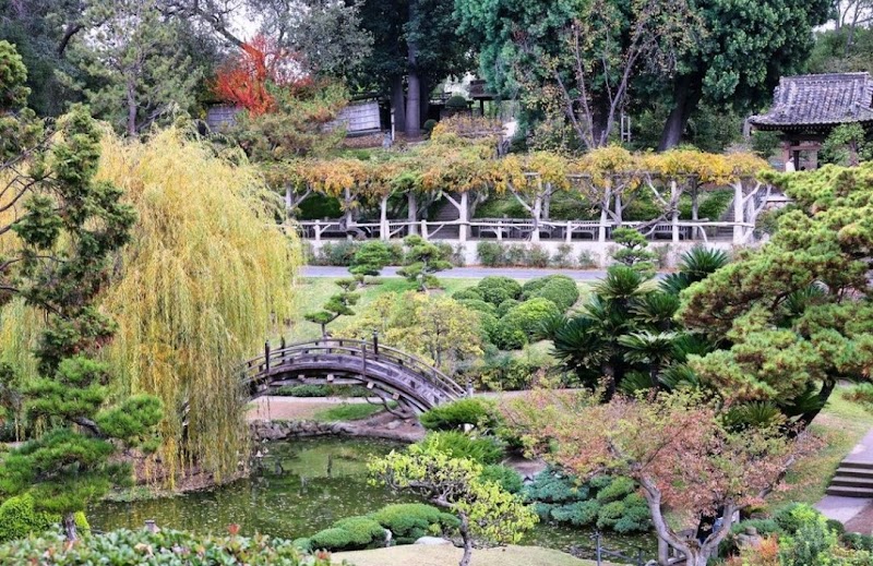 The Huntington Library, Art Museum, and Botanical Gardens photo 5
