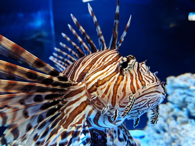 Woodbridge Aquarium & Wildlife