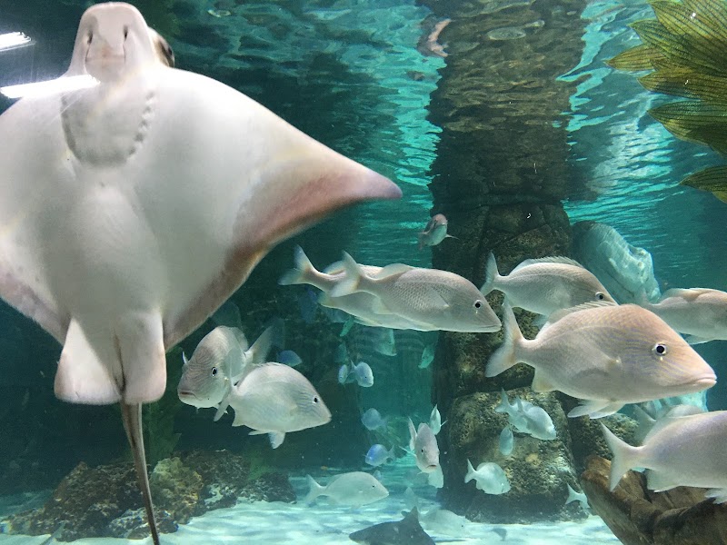 Woodbridge Aquarium & Wildlife photo 3