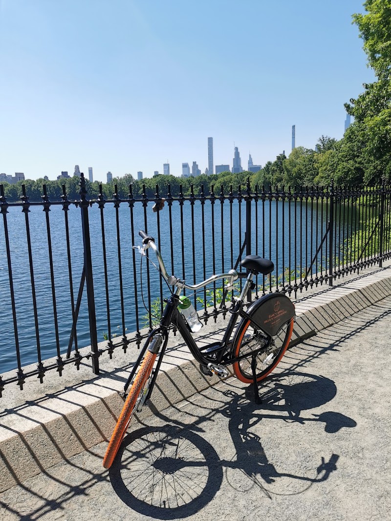 Fancy Apple Bike & Scooter Rentals and Tours at Central Park photo 4