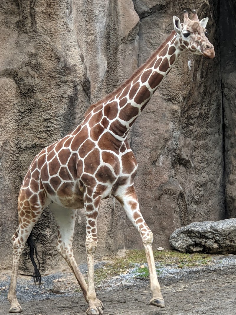 Philadelphia Zoo photo 2