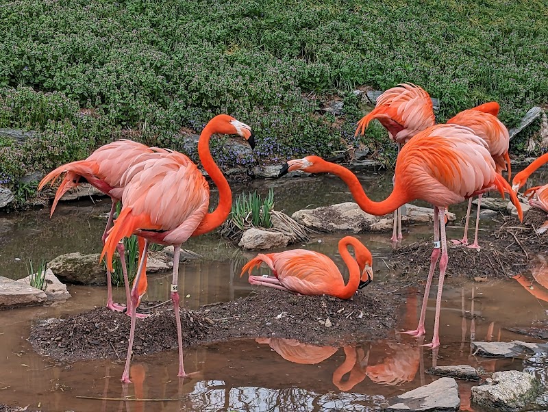 Philadelphia Zoo photo 3