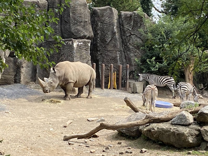 Philadelphia Zoo photo 4