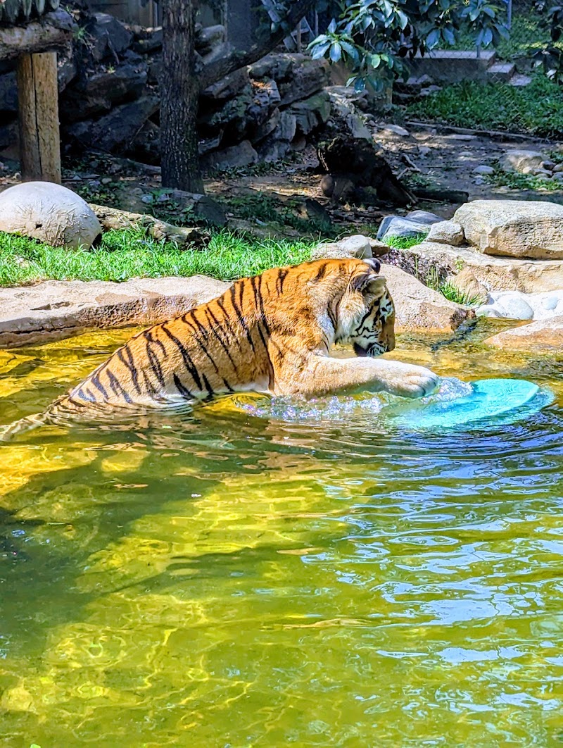 Philadelphia Zoo photo 9