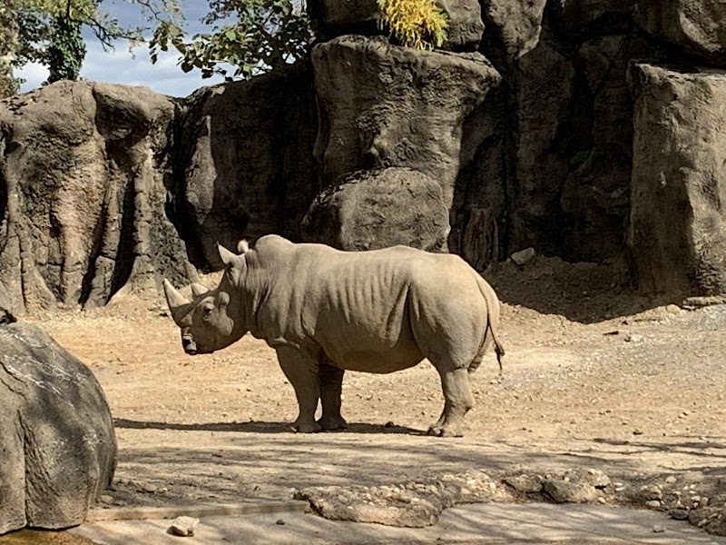 Philadelphia Zoo photo 5