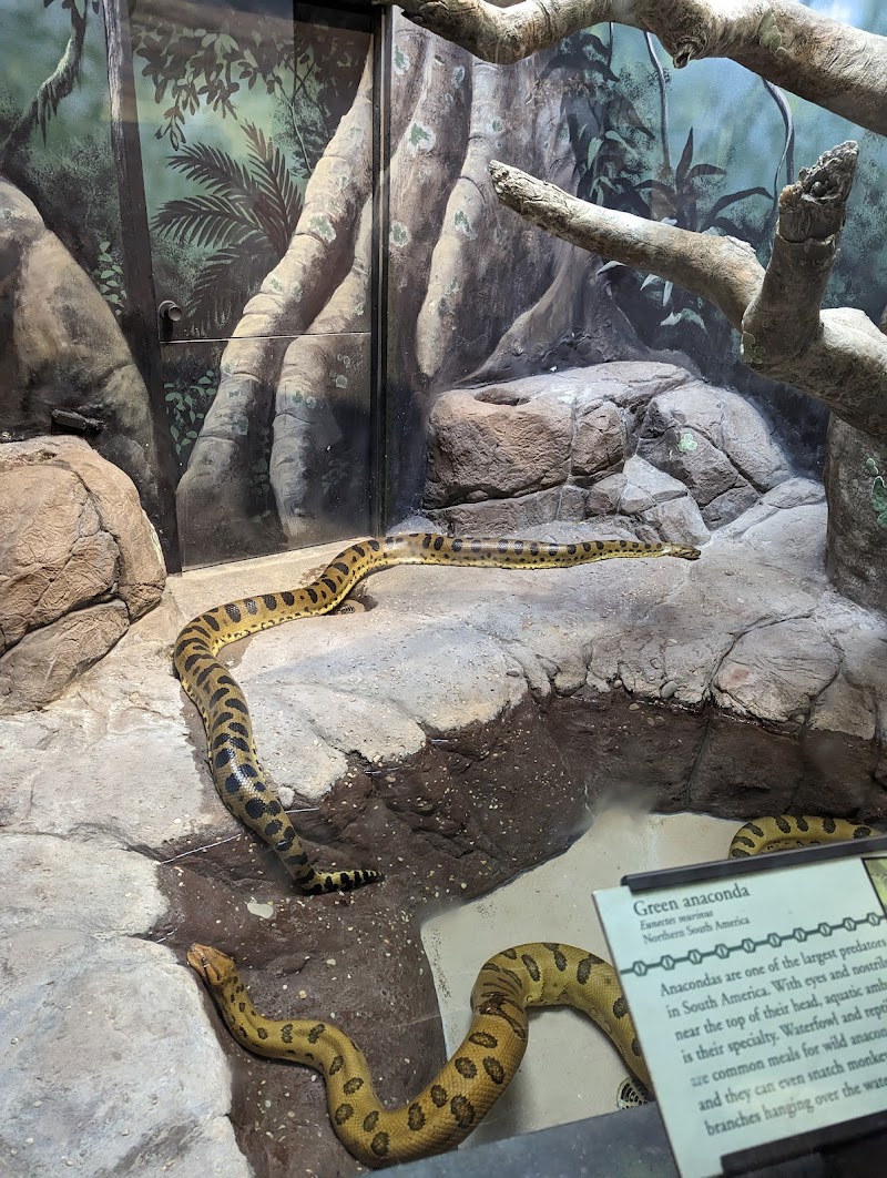 Philadelphia Zoo photo 8