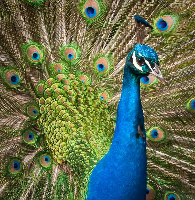 Philadelphia Zoo photo 7