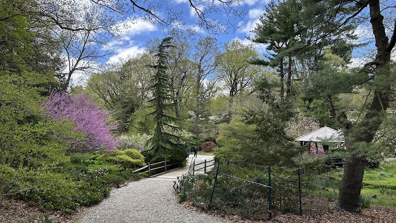 Laurelwood Arboretum photo 2
