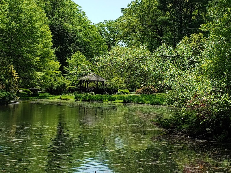 Laurelwood Arboretum photo 9