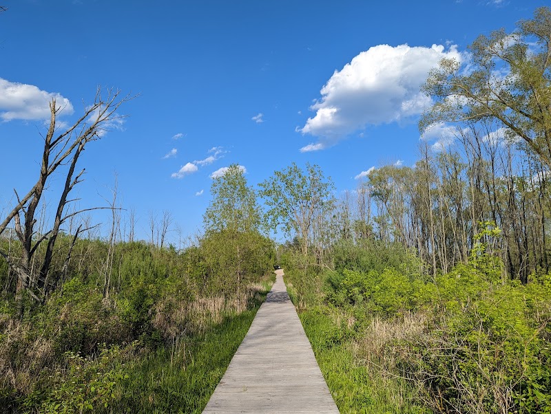 Lion's Den Gorge Nature Preserve photo 4