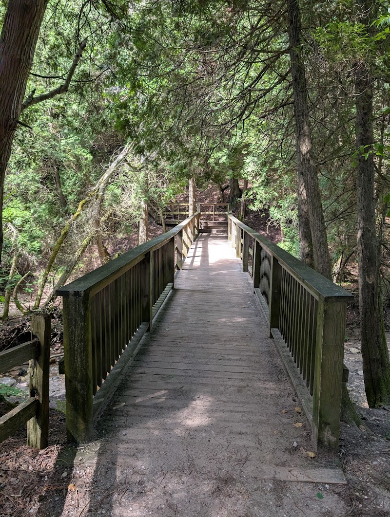 Lion's Den Gorge Nature Preserve photo 5