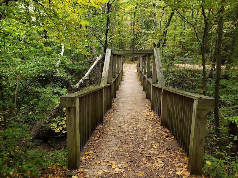Lion's Den Gorge Nature Preserve photo 3