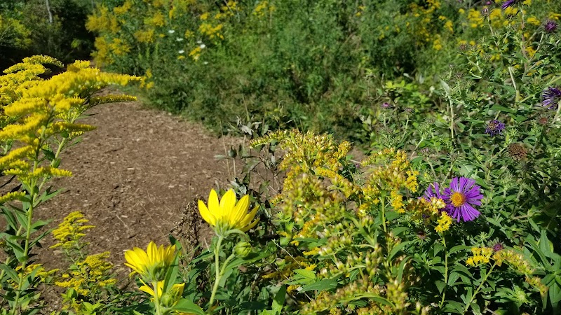 Lion's Den Gorge Nature Preserve photo 6