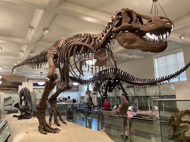 American Museum of Natural History photo 2