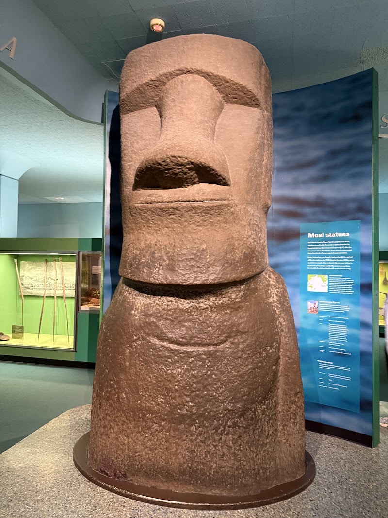 American Museum of Natural History photo 7