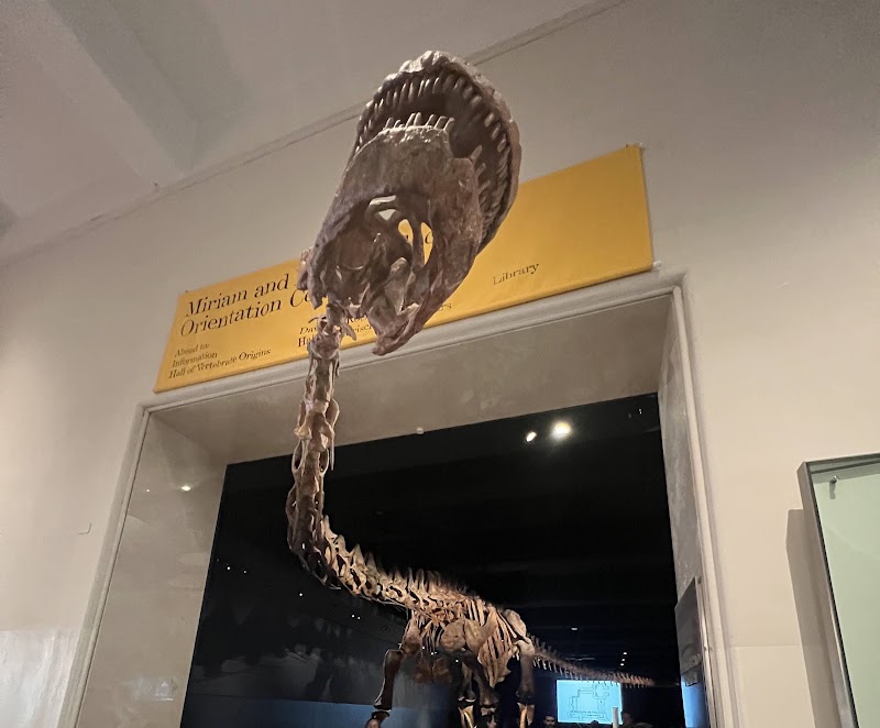 American Museum of Natural History photo 5