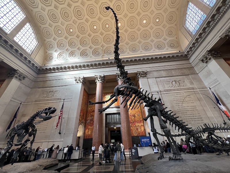 American Museum of Natural History photo 6